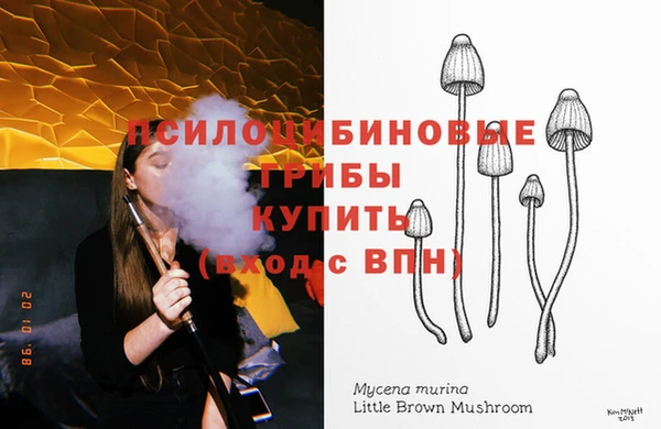 эйфоретик Ростов