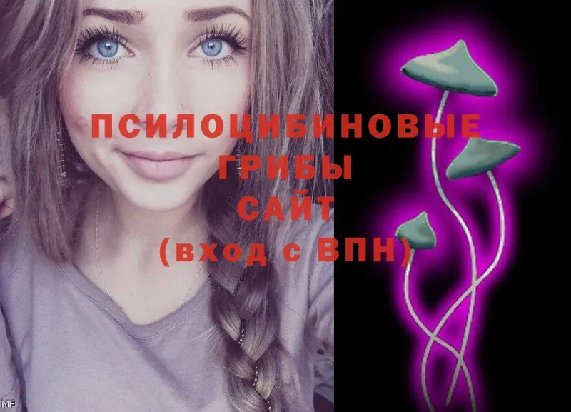 Псилоцибиновые грибы Psilocybe Татарск