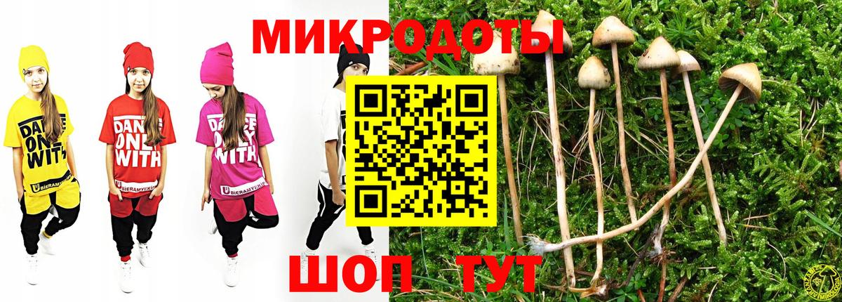 Галлюциногенные грибы прущие грибы Татарск