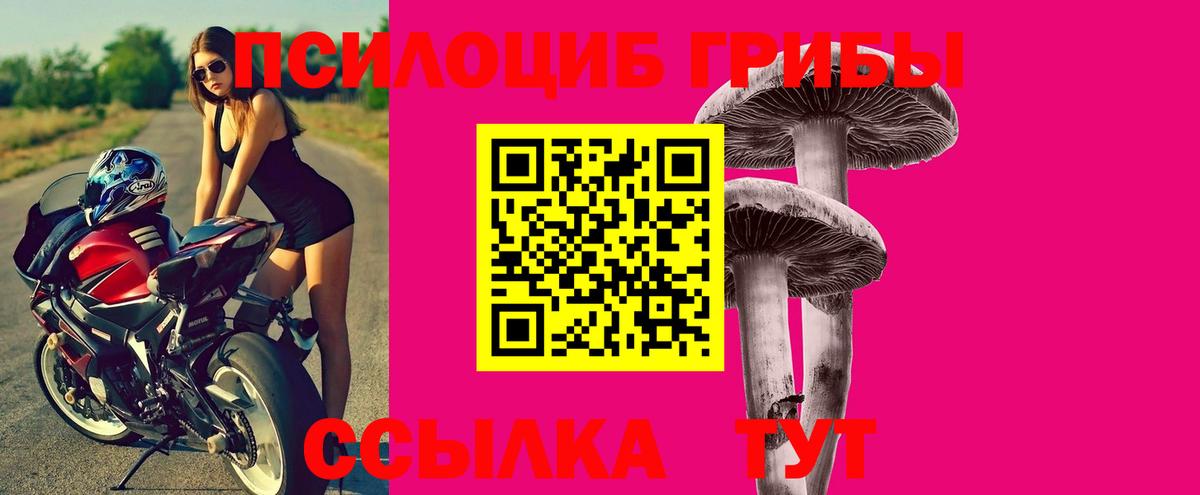 Татарск  Псилоцибиновые грибы мухоморы  Вход с VPN 