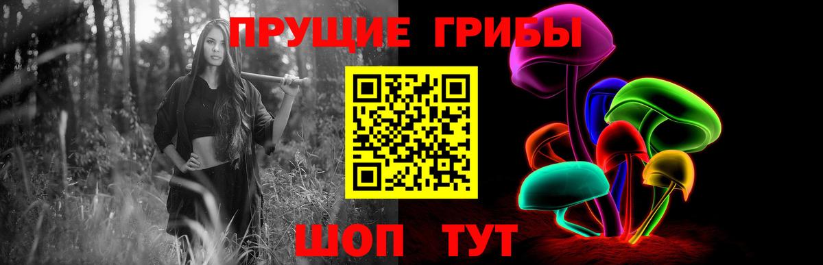 Галлюциногенные грибы MAGIC MUSHROOMS  Татарск 